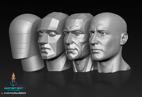 Artist's Referencing .Anatomy — anatoref: Planes of the Face Row 1 Row 2... Neck Anatomy, Planes Of The Face, Head Anatomy, Facial Anatomy, Face Anatomy, Zbrush Tutorial, Anatomy Sculpture, Face Study, 얼굴 그리기