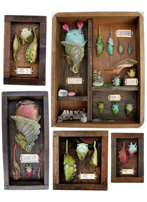 Wooden Fairy, Clay Monsters, Box Diy, Polymer Clay Art, Shadow Boxes, Polymer Clay Crafts, Clay Projects, Clay Creations, Life Cycles