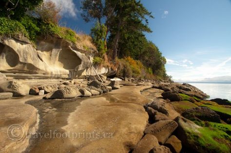 Hornby Island Bluffs - Tribune Bay Hornby Island, Camping New Zealand, West Coast Canada, Micro Climate, Camping Colorado, Fingerless Gloves Knitted Pattern, Vancouver Island Canada, Salt Spring Island, Landscaping Inspiration