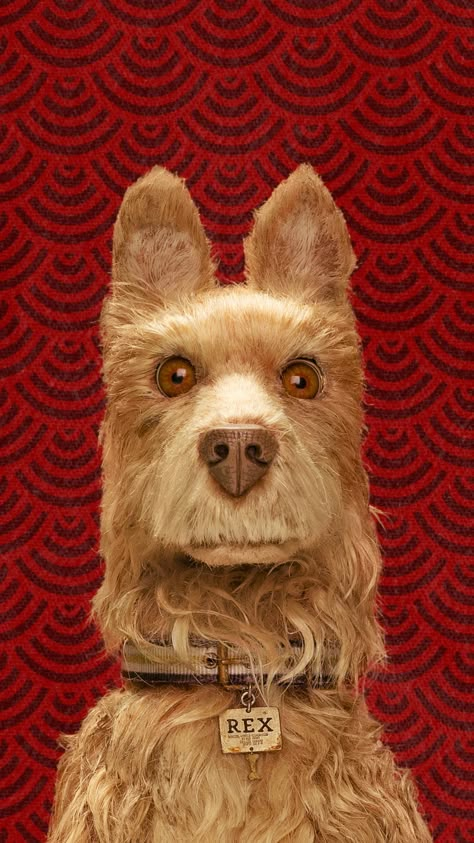 Isle Of Dogs Movie, Character Movie, Wallpapers For Phone, Wes Anderson Movies, Wes Anderson Films, Dog Movies, Isle Of Dogs, Edward Norton, Fantastic Mr Fox