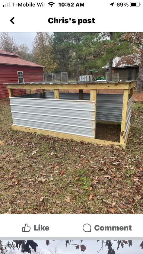 Simple Livestock Shelter, Pig Kennel Ideas, Diy Pig House Outdoor, Goat Shed For Winter, Pig Shelter Plans, Grain Bin Animal Shelter, Sheep Stall Ideas, Diy Goat Shelter Winter, Diy Pig House