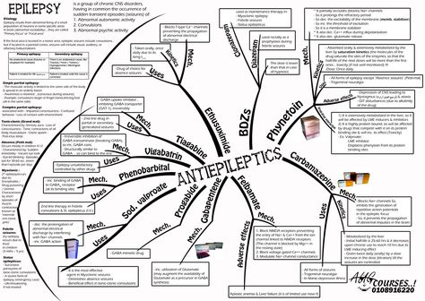 Antiepileptics Nurse Practitioner School, Doctor Of Pharmacy, Nurses Station, Pa School, Pharmacy Student, Pharmacy School, Pharmacology Nursing, School Info, Nursing School Tips