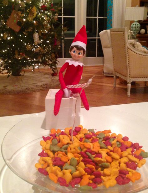 Elf On The Shelf Ideas Fishing, Elf Fishing For Goldfish, Elf On The Shelf Fishing, Elf On The Shelf Mermaid, Elf Fishing, Tropical Elf On The Shelf, Iphone Wallpaper Kawaii, Christmas Kids, Elf On The Shelf Ideas