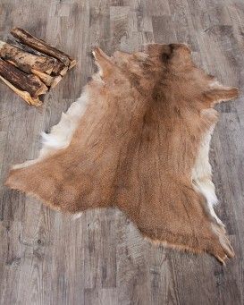 Scandinavian White Tailed Deer Hide/Rug Deer Hide Blanket, Deer Skin Rug, Deer Hide Rug, Deer Rug, Homestead Lifestyle, White Tailed Deer, Fur Blankets, Fur Rugs, Hide Rugs