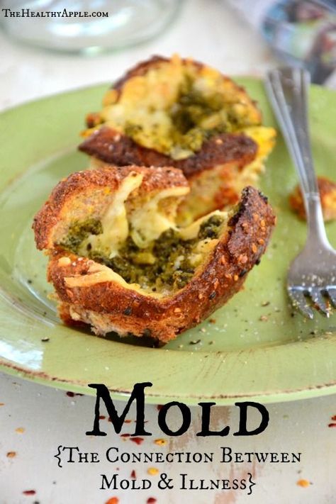 This page lists a few foods to avoid if you are sensitive to mold and it lists a few things you should be eating to combat mold.  It also lists a few supplements that will help the body recover. Mold Poisoning, Toxic Mold Symptoms, Mold Symptoms, Headache Diet, Mold Toxicity, Mold Illness, Overly Sensitive, Reduction Diet, Mold Exposure