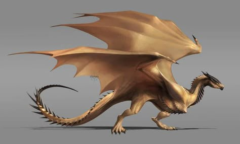 SoC_Windreil_Bestiary_G3 by ShadowOfSolace on DeviantArt Hotd Dragons, Dragon Ideas, Mythical Creatures Fantasy, Got Dragons, Dragon Tales, Dragon Sketch, Httyd Dragons, Gra O Tron, Magic Aesthetic