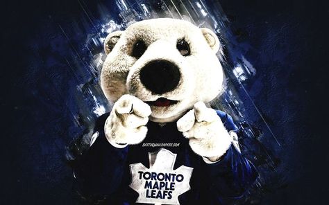 Maple Leafs Hockey, Toronto Maple, Toronto Maple Leafs, Maple Leafs, Nhl Hockey, The Bear, Polar Bear, Nhl, Hockey