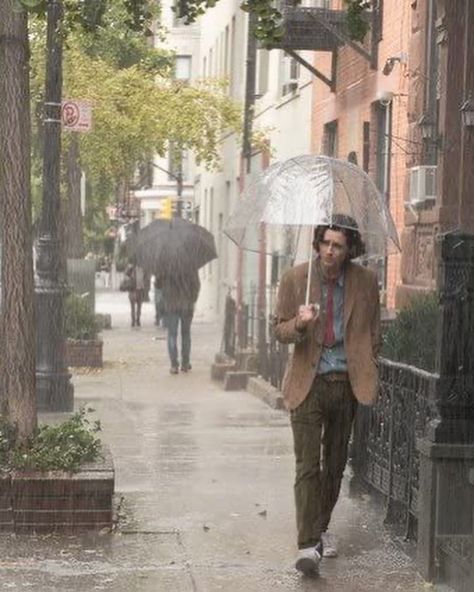 Rainy Day In New York, New York Movie, Diego Luna, Jude Law, Dead Poets Society, Woody Allen, A Rainy Day, Timothee Chalamet, My Happy Place