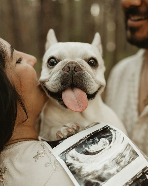 When my clients told me they brought their dog with them I was so excited 🥹! Love including your dogs in your sessions! 🥰 #dogphotography #dogphotoshoot #announcement #pregnancyannouncement #maternityphotography #tampaphotographer #flphotographer #stpetephotographer #gpresets #authenticlovemag #unscriptedposingapp #creativephotography #photographyideas #dogsofinstagram #pregnancyphotoshoot Dog Maternity Shoot Ideas, Maternity Photo Shoot Ideas Dog, Pregnant Photoshoot With Dog, Maternity Photography Poses With Dogs, Pregnancy Announcement Photoshoot With Dog, Maternity Photography Ideas With Dog, Fall Pregnancy Announcement With Dog, Maternity Photo Shoot Ideas With Dog, Pregnant Announcement Photoshoot