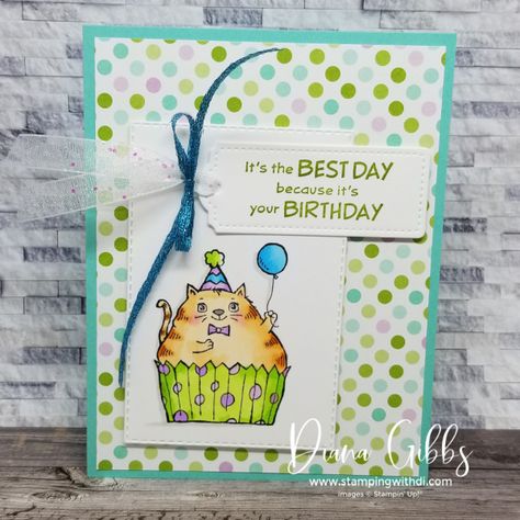 Stampin Up Best Day Cards, Best Day Stampin Up Cards, Cat Bday, Cupcake Cat, Cat Cards Handmade, Spring Cat, Stampin Up Birthday Cards, Mary Fish, Cat Stamp