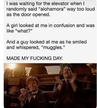 Muggle Meme Harry Potter, Citate Harry Potter, Glume Harry Potter, Funny Harry Potter Jokes, Harry Potter Memes Hilarious, Harry Potter Puns, Funny Harry Potter, Harry Potter Feels, Potter Quotes