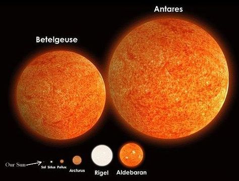 An image showing the size of Betelgeuse and Arcturuse compared to our sun Scale Of The Universe, It's All About Perspective, Orion Constellation, Star Night, Orion Nebula, Carl Sagan, Earth From Space, Our Solar System, Space And Astronomy