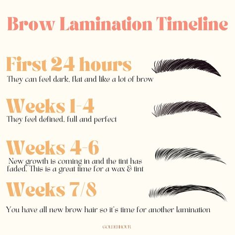 This is a general idea of how a lamination looks between appointments. The photos you see online are taken right after the service which means brows will actually look a little softer by the next day. I hope this rough timeline helps. I don't believe in going in to an appointment blind - I want you to have all the info up front! 🥳 I know the idea of a lamination can be a little scary. Especially when the internet loves to give us extreme examples and horror stories 😒 I hope this timeline he... Fox Esthetics, Brow Lamination Price List, Brow Lamination Before And After, Esthetician Suite, Brows Lamination, Glam Lashes, Esthetician School, Brow Threading, Brow Studio