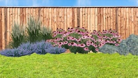 Dallas Garden Ideas, Texas Shrubs Front Yards, North Texas Backyard Landscaping, North Texas Flower Beds Front Yards, Dallas Landscape Ideas, North Texas Landscape Ideas Front Yards, East Texas Landscaping, Texas Flower Beds Front Yards, Texas Landscape Ideas