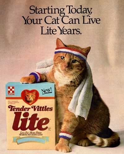 Purina Tender Vittles Lite Cat Food Ad Pet Marketing, Cats Food, Grey Kitten, Top Cat, Fitness Program, Ginger Cat, Old Advertisements, Cats For Sale, Orange Cats