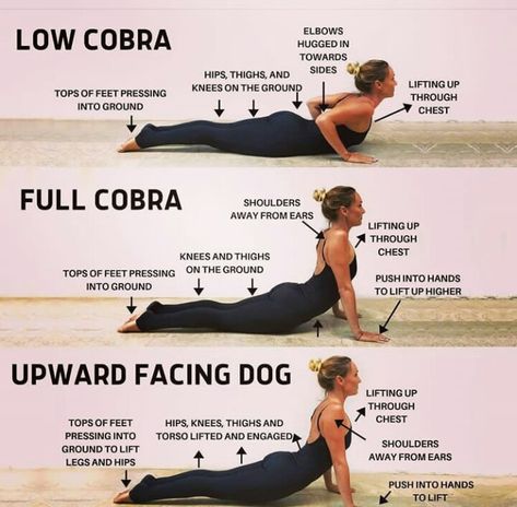 Cobra Pose Yoga, Upward Dog, Yoga Information, 20 Minute Yoga, Yoga Hair, The Fountain Of Youth, Upward Facing Dog, Poses Yoga, Prevent Hair Fall