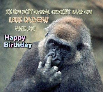 Happy Birthday Animals, Happy Birthday Man, My Life My Rules, Monday Humor, Irish Quotes, Happy Birthday Funny, Birthday Quotes Funny, Happy Birthday Sister, Sister Quotes