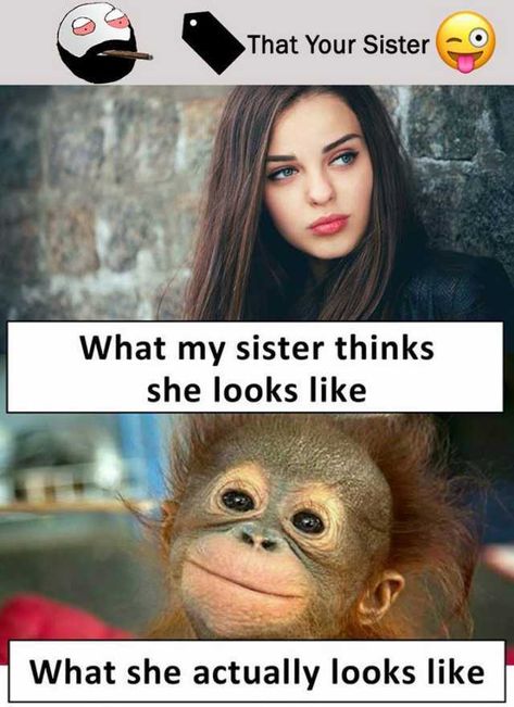 30 Totally Funny Sister Memes We Can All Relate To | SayingImages.com Sister Funny Quotes, Funny Sister Memes, Funny Sister Quotes, Sister Meme, Brother Sister Quotes Funny, Sister Jokes, Siblings Funny Quotes, Sibling Memes, Sibling Quotes