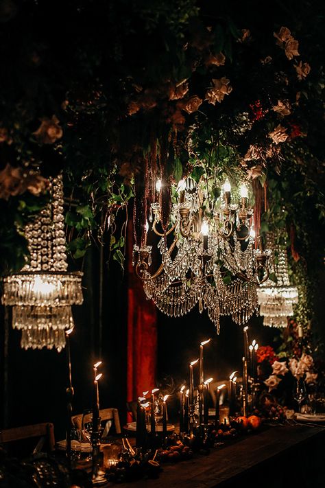 Decadent Aussie Wedding Fit For Royalty ⋆ Ruffled Dark Wedding Theme, Indoor Garden Wedding, Goth Wedding, Dark Wedding, Moody Wedding, Gothic Wedding, Halloween Wedding, Michael Myers, Black Wedding