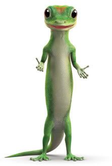 Geico Gecko I love this guy! Wish all geckos were like him! Geico Lizard, Geico Car Insurance, Money People, Funny Lizards, Auto Insurance Quotes, Auto Insurance, Arte Animal, Auto Car, Gecko