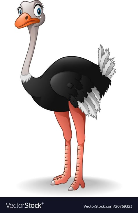 Cute Ostrich, Bordados Tambour, Cartoon Download, Baby Animal Drawings, Cartoon Birds, Cute Cartoon Pictures, Cartoon Drawing, Cute Cartoon Animals, Art Drawings For Kids