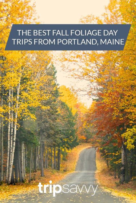 Day Trips From Portland Maine, Maine Fall Foliage Road Trips, Portland Maine In The Fall, Portland Maine Fall, Maine Elopement, Bath Maine, Fall Foliage Road Trips, Maine In The Fall, Maine Road Trip