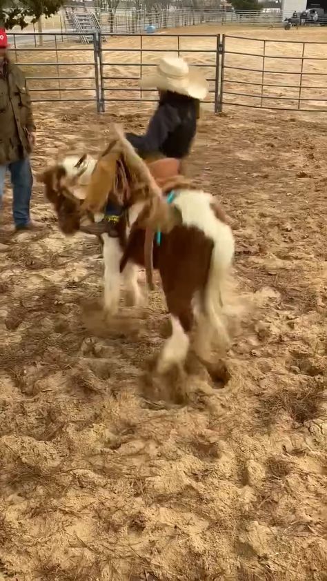 Sarah Stone, Saddle Bronc Riding, Saddle Bronc, Bronc Riding, Riding Gear, Animals Beautiful, Rodeo, Saddle, Year Old