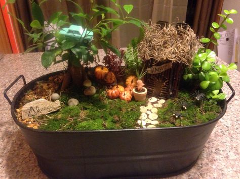 Harry Potter inspired Fairy Garden I made with my mother. Harry Potter Fairy Garden, Harry Potter Terrarium, Harry Potter Garden, Spooky Fairy Garden, Garden Gnomes Diy, Miniature Cauldron Diy, Mini Mushroom Terrarium Diy, Horticulture Projects, Fairy Garden Camper