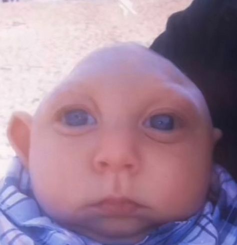 bald baby, blue eyes, funny, supposed to be random whether than real focused on. Funny Pix, Carpet Looks, Goofy Pictures, Funny Times, Funny Short Clips, Very Funny Pictures, Extremely Funny Jokes, Funny Profile Pictures, Silly Pictures