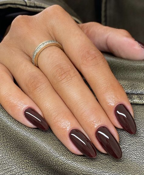 Fall Biab Nails, Autumn Nails Biab, Espresso Brown Nails, September Nail Ideas 2024, Collage Nails, Espresso Nails, Winter Nail Colours, Coloured Nails, Nails September