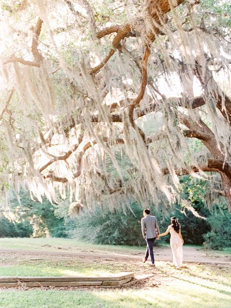 Romantic Anniversary Shoot under Spanish Moss trees | Houston Anniversary Bayou Wedding, Spanish Moss Trees, Willow Tree Wedding, Moss Tree, Romantic Photo, Anniversary Shoot, Family Beach Pictures, Photography Poses Family, Romantic Anniversary