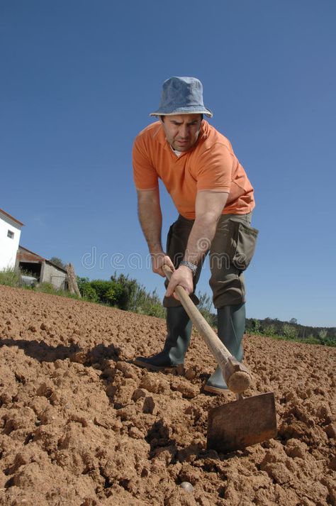 Farmer working on the farm. A farmer working on the farm , #Aff, #working, #Farmer, #farmer, #farm #ad Farm Workers Photography, Farming Pose Reference, Farmer Pose Reference, Farmer Reference, Gifts For Construction Workers, Farm Man, Farmer Working, Figure Composition, Farmer Life