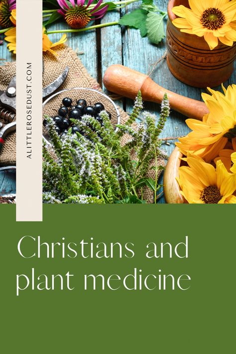 Christian Apothecary, Christian Herbalist, Theology Questions, Organic Medicine, Medicine Garden, Medicine Quotes, Medicinal Herbs Garden, Herbs Garden, Plant Medicine