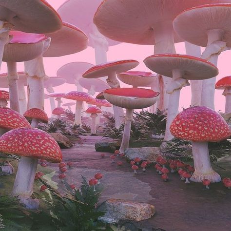 Mushroom Aesthetic Wallpaper, Wallpaper Chromebook, Mushroom Aesthetic, Aesthetic Wallpaper, I Hope