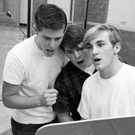 The Beach Boys Wilson Brothers, America Band, Carl Wilson, Dennis Wilson, Beach Boy, Brian Wilson, 60s Music, Musica Rock, Beach Boys