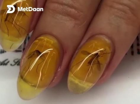 Mosquito manicure Bad Nails, Crazy Nail Designs, Crazy Nail Art, Crazy Nails, Make Me Up, Unique Nails, Funky Nails, 3d Nail Art, 3d Nails