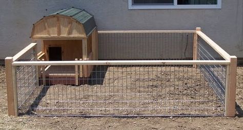 Outdoor Spaces For Mini Pigs: Fencing, Housing & Shade - Mini Pig Info Mini Potbelly Pigs, Pig Houses, Pet Pig Care, Pet Pig House, Pig Shelter, Raising Pigs, Pen Ideas, Micro Pigs, Pig Pen