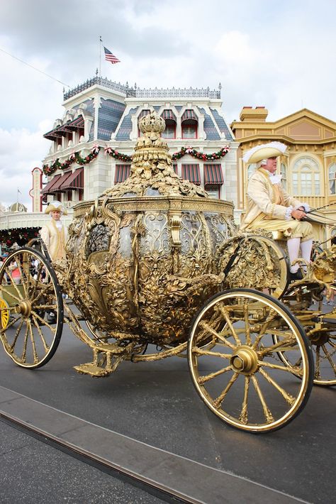 The golden pumpkin coach from Cinderella in the Magic Kingdom pre-parade Cinderella's Carriage, Pumpkin Coach, Cinderella Coach, Cinderella Aesthetic, Cinderella Pumpkin, Magic Kingdom, The Golden, Project Ideas, Cinderella