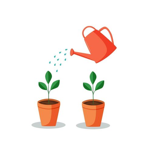 A watering can waters a potted plant. Vector illustration of watering seedlings, home flowers. Watering Plants Illustration, Watering Illustration, Watering Can Illustration, Watering Seedlings, Plants Grown In Water, Plant Watering Can, Plant Games, Water Illustration, Water Sprinkler