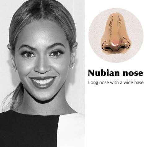 Nubian Nose Shape, Snub Nose Shape, Nubian Nose, Character Headshots, Chinese Face Reading, Greek Nose, Hooked Nose, Crooked Nose, Nose Types