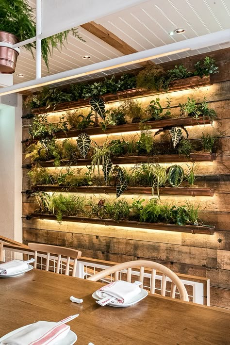 Bar Deco, Herb Wall, Garden Cafe, Wall Designs, House Plants Decor, Wall Garden, Outdoor Restaurant, Restaurant Interior Design, Dim Sum