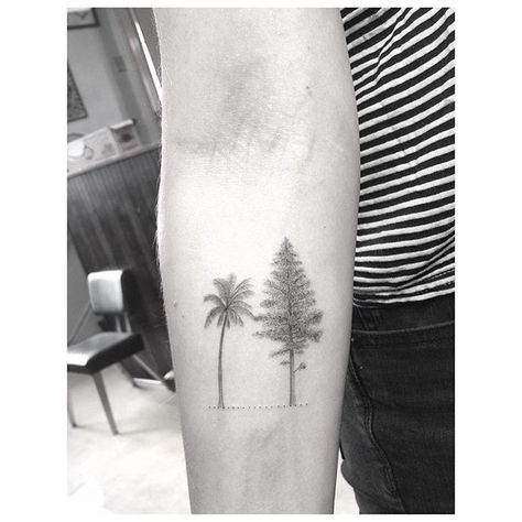 Pine tree for mama and palm for her boy #halfneedle Tree Leaves Drawing, Tattoo For Him, Palm Tree Tattoo Ideas, Pine Tree Leaves, Henna Designs Drawing, Dr Woo Tattoo, Evergreen Tree Tattoo, Tree Tattoo Ideas, Tree Tattoo Back