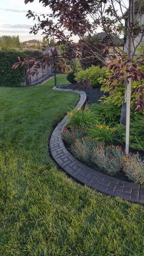 Concrete Curbing - Luxe Curb and Edging - Regina Landscaping - Concrete Curbing Curbing Ideas, Concrete Garden Edging, Backyard Improvements, Small Flowering Plants, Concrete Curbing, Garden Edging Ideas, Florida Landscape, Landscape Curbing, Backyard Sanctuary