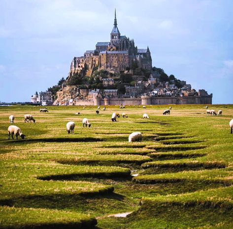 Mt St Michel, Mont Saint Michel France, Tumblr Travel, Magical Island, Virtual Travel, Travel Around Europe, Travel Alone, France Travel, Travel And Leisure