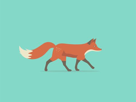 I animated one of @Andy Hau 's wonderful illustrations: Quinn the Fox!   Be sure to check out his work!   andyhau.com  dribbble.com/AndyHau Fox Gif, Walk Cycle, Animiertes Gif, Animal Movement, Arte 8 Bits, Fox Illustration, Motion Design Animation, Animation Reference, Fox Art