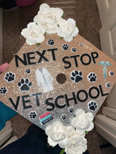 Veterinary Cap Decoration, Vet Cap Decoration Graduation, Future Veterinarian Graduation Cap, Animal Science Graduation Cap Ideas, Veterinarian Cap Ideas, Vet Tech Graduation Party, Veterinarian Vision Board, Pre Vet Graduation Cap, Vet Tech Graduation Party Ideas