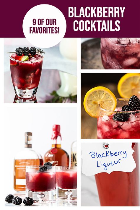 Cocktails With Blackberry Syrup, Cocktails With Blackberries, Blackberry Liqueur Recipes Vodka, Drinks With Blackberries, Blackberry Sour Drink, Vodka Berry Cocktail, Blackberry Liqueur Cocktails, Fresh Fruit Cocktail Recipes, Blackberry Whiskey Sour