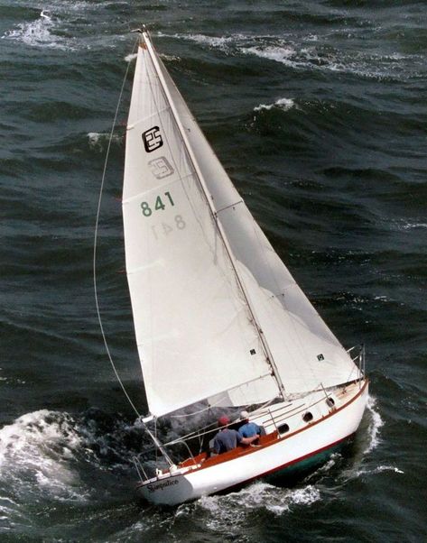 https://flic.kr/p/7oJRNy | Cape Dory 25 Simpatico in OCYC regatta | cape dory 25 Cape Dory, Classic Sailboat, Old Boats, Yacht Boat, Family Pics, Boat Building, Yachts, Good Old, Boating