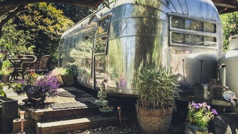 Glamping Business, Glamour Camping, Florida Adventures, Startup Business Plan, Vintage Airstream, Glamping Site, Chicago Usa, Vintage Travel Trailers, Luxury Camping