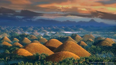 Chocolate Hills at Sunrise, Bohol Island, Philippines Bohol Chocolate Hills, Island Of Adventure, Chocolate Hills, Banaue, Bohol Philippines, Surreal Photos, Strange Places, Islands Of Adventure, Bohol